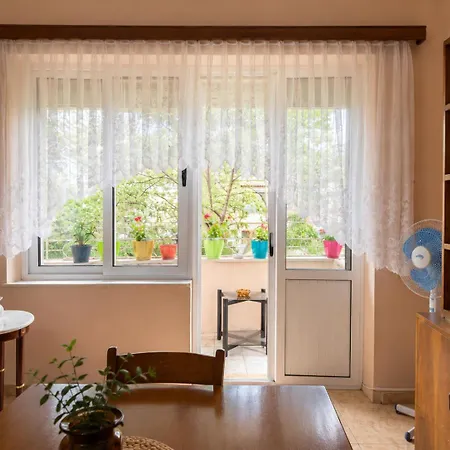 Historical Center Flat Appartement